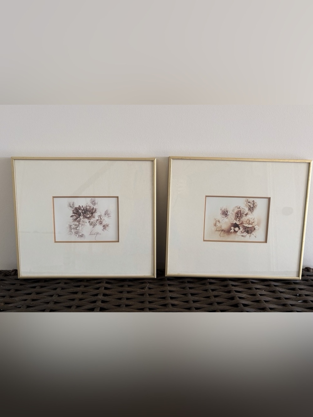 Framed Botanical Prints Set of 2 in Matt Gold Frames